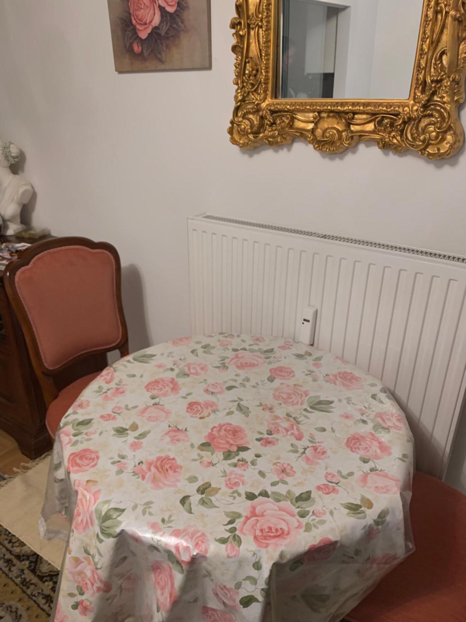 Einzimmerwohnung Am Jakomini Graz Zewnętrze zdjęcie